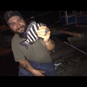 Meet your Posher, Ronald